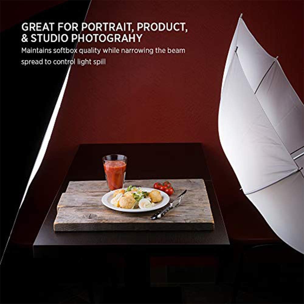 19" Square Softbox with Removable Front Diffuser and Carrying Case, Pack of 2 Q758