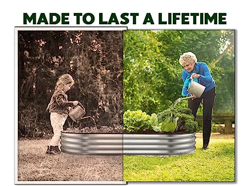 8×4×1 ft 2-Pack Galvanized Metal Raised Garden Bed P404