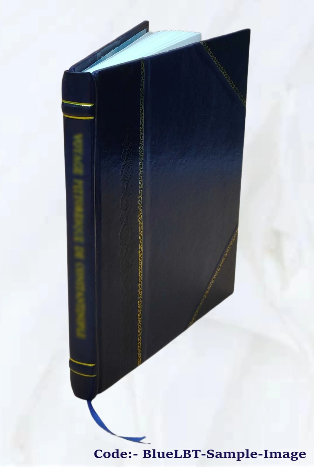 Virgil and Ronsard by Walter Henry Storer 1923 Leather Bound A482