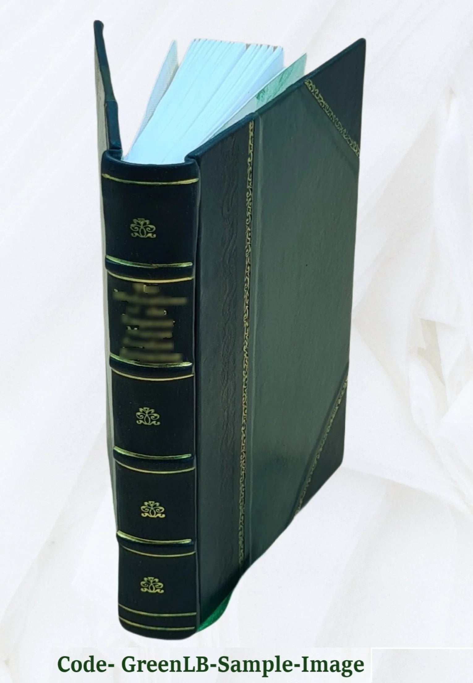 Leather Bound Roman Z271