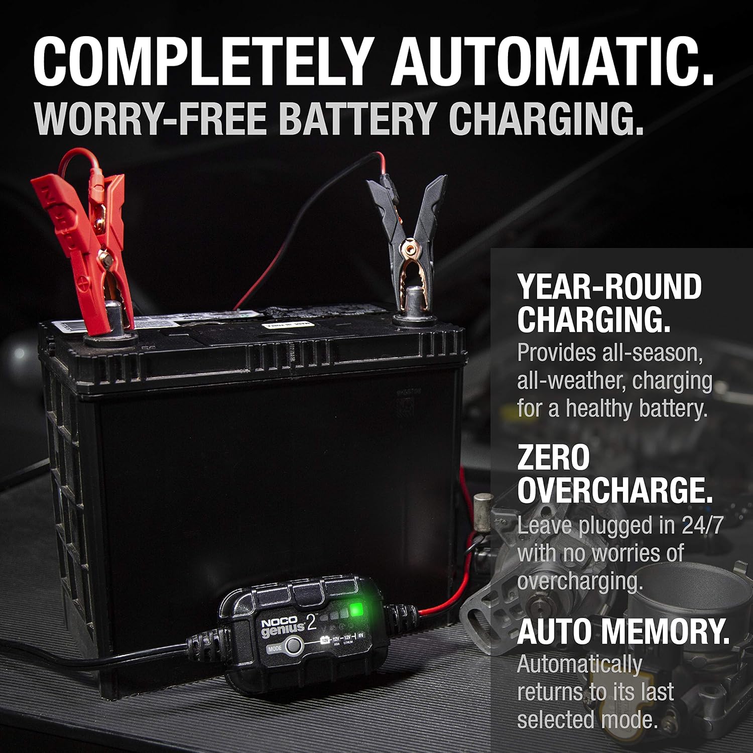 2-Amp Portable Smart Battery Charger and Maintainer, Pack of 2 Y6182