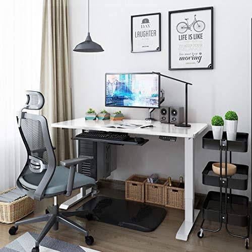 Large Electric Stand Up Desk 55 x 28 Inches C9286