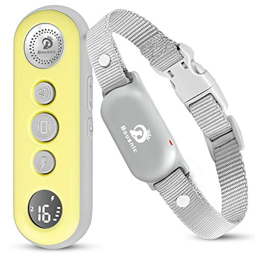 1000ft Waterproof Rechargeable Dog Training Collar with Remote Y412