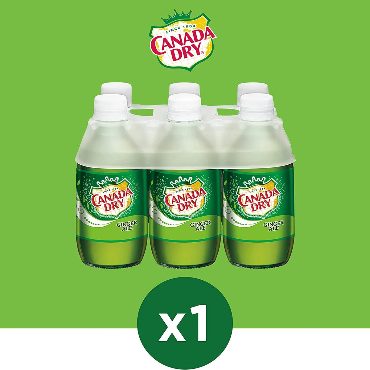 Ginger Ale Soda, 10 Fl Oz (Pack of 6 Plastic Bottles) I13238