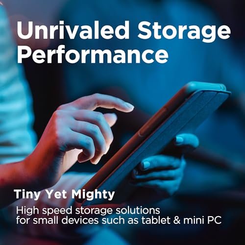 1TB M.2 2230 PCIe Gen4x4 NVMe Internal Solid State Drive B717587