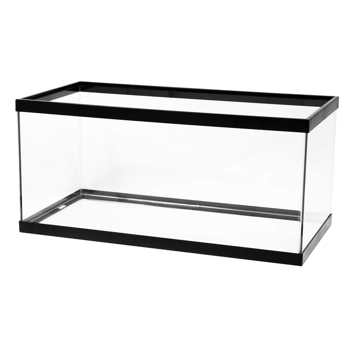 Black Aquarium T901789