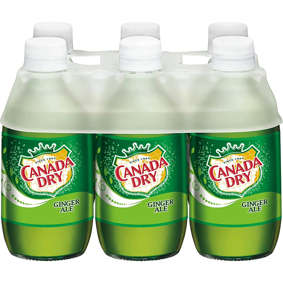 Ginger Ale Soda, 10 Fl Oz (Pack of 6 Plastic Bottles) I13238