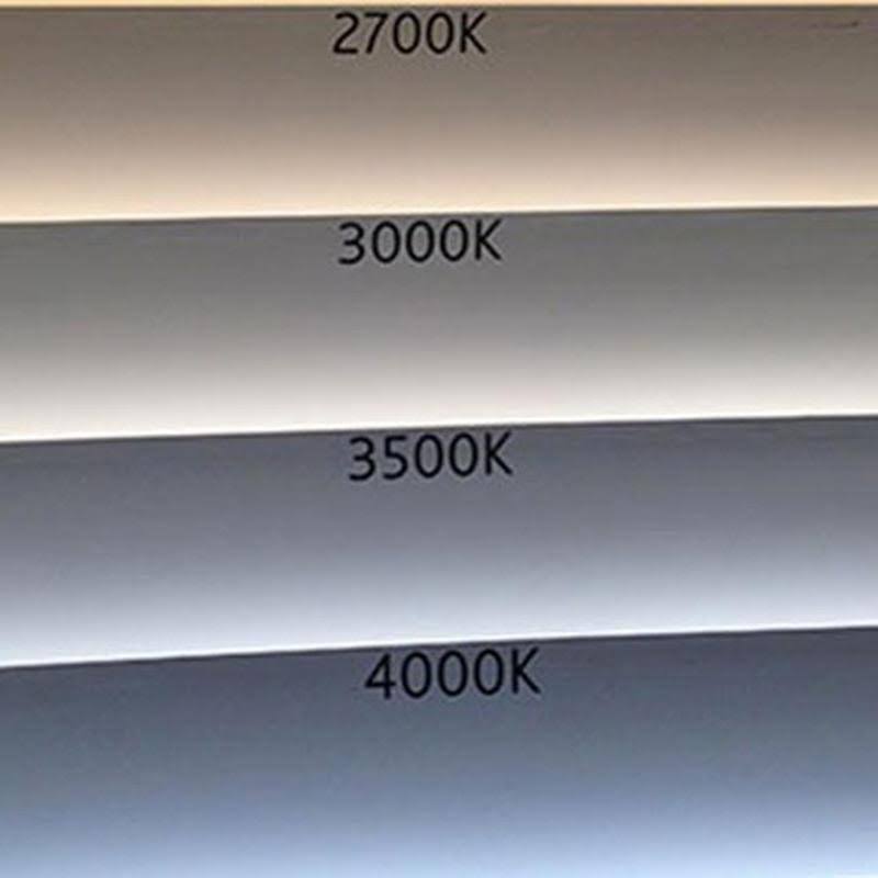 White LED High Output Trim O4256