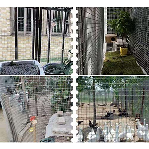 Galvanized Wire Mesh Poultry Fence W94498