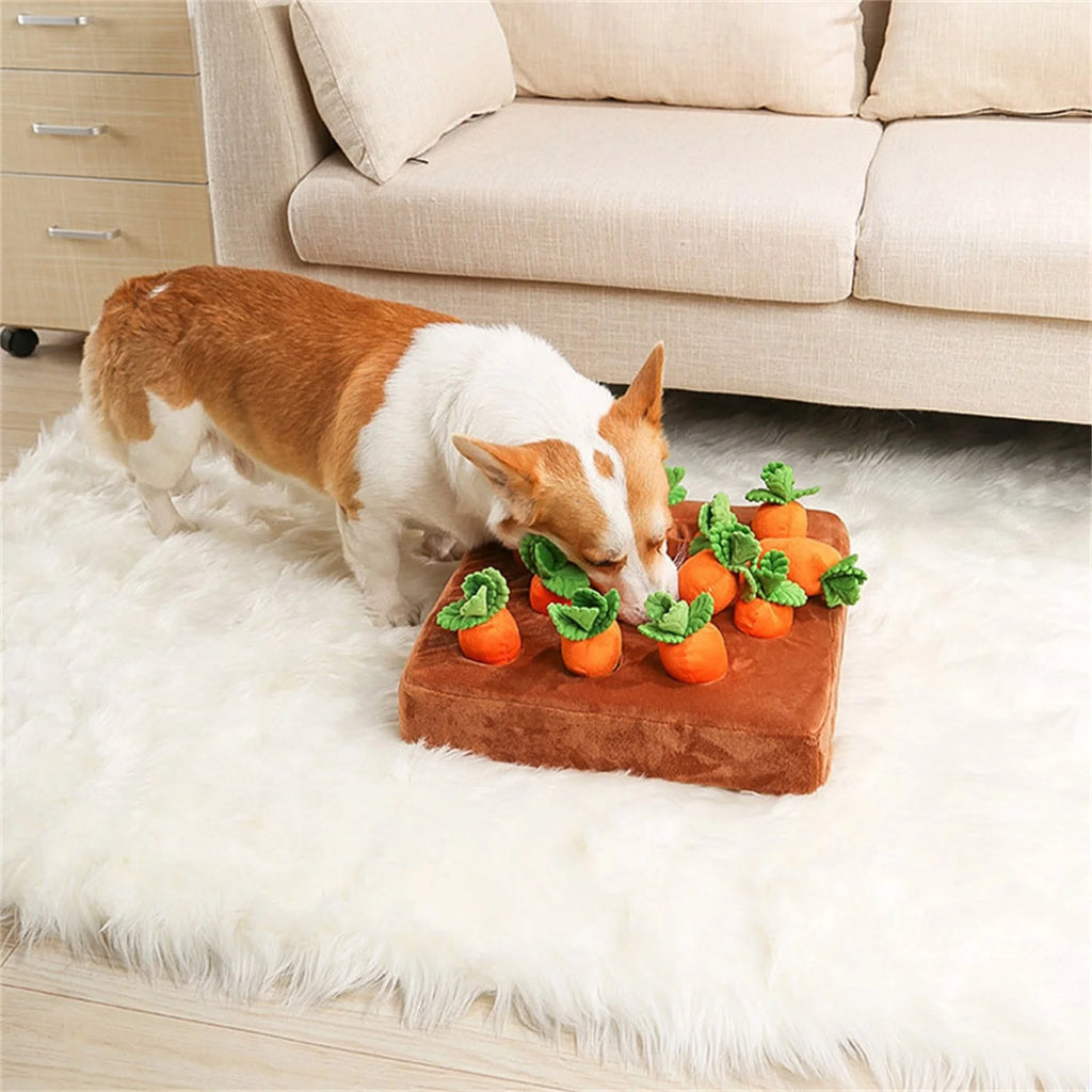 5 Pack Dog Squeaky Toys Plush Fruits Snacks Vegetables Dog Toys Z184
