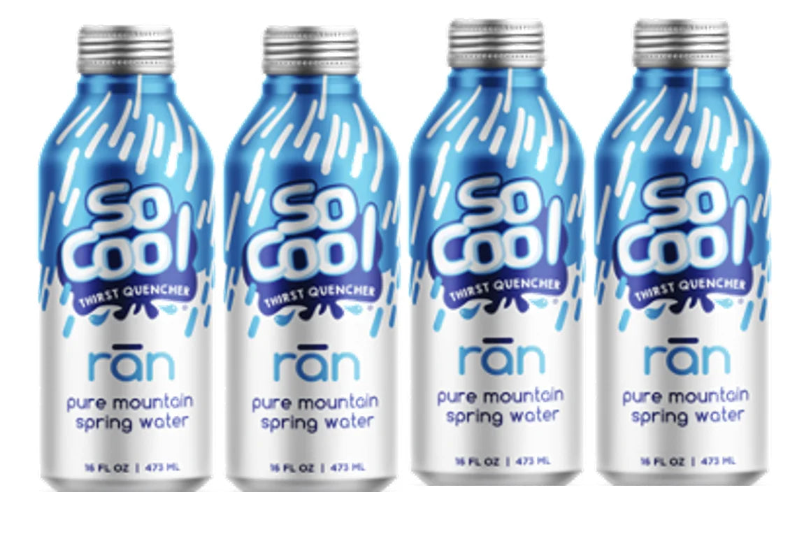 16 Fl Oz (4 Pack) Purified Still Mountain Spring Water in Aluminum Bottle D814