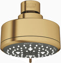 Polished Nickel 4 Spray Shower Head Pack of 2 R95186