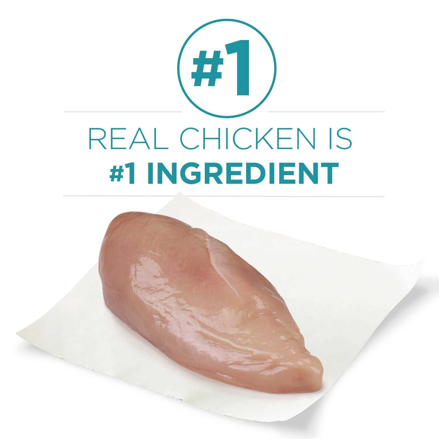 Dry Cat Food With Real Chicken D4867