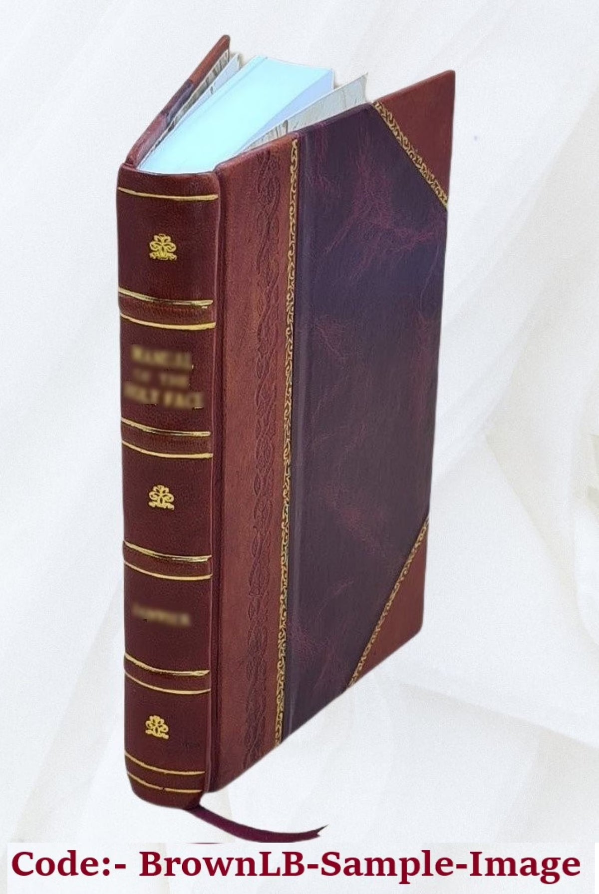 Leather Bound Book A899