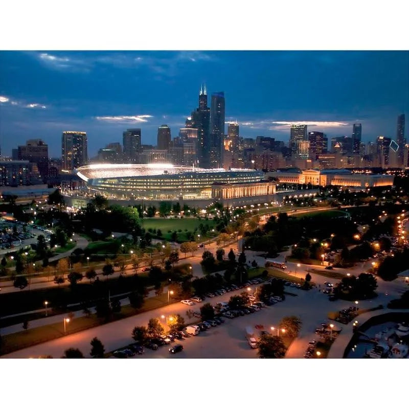 Chicago Bears Soldier Field Giant Removable Wall Mural W145716