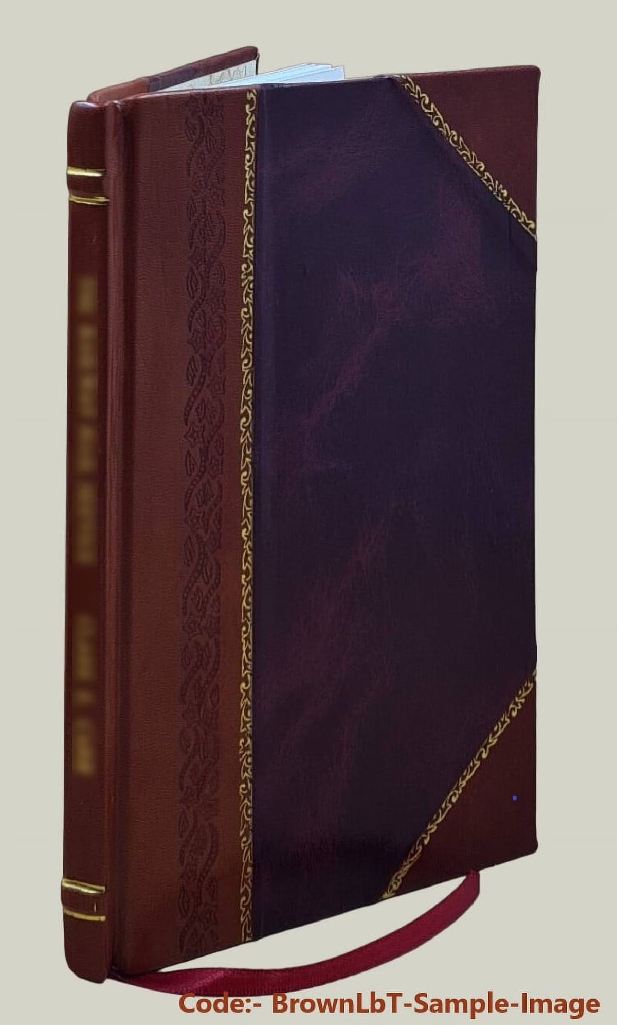 Virgil and Ronsard by Walter Henry Storer 1923 Leather Bound A482