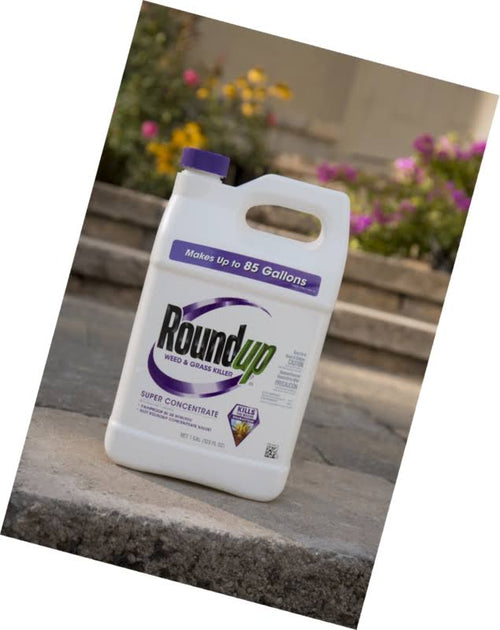 1 Gal Weed and Grass Killer A2105