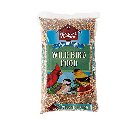 5 Pound Safflower Seed Wild Bird Food P381823