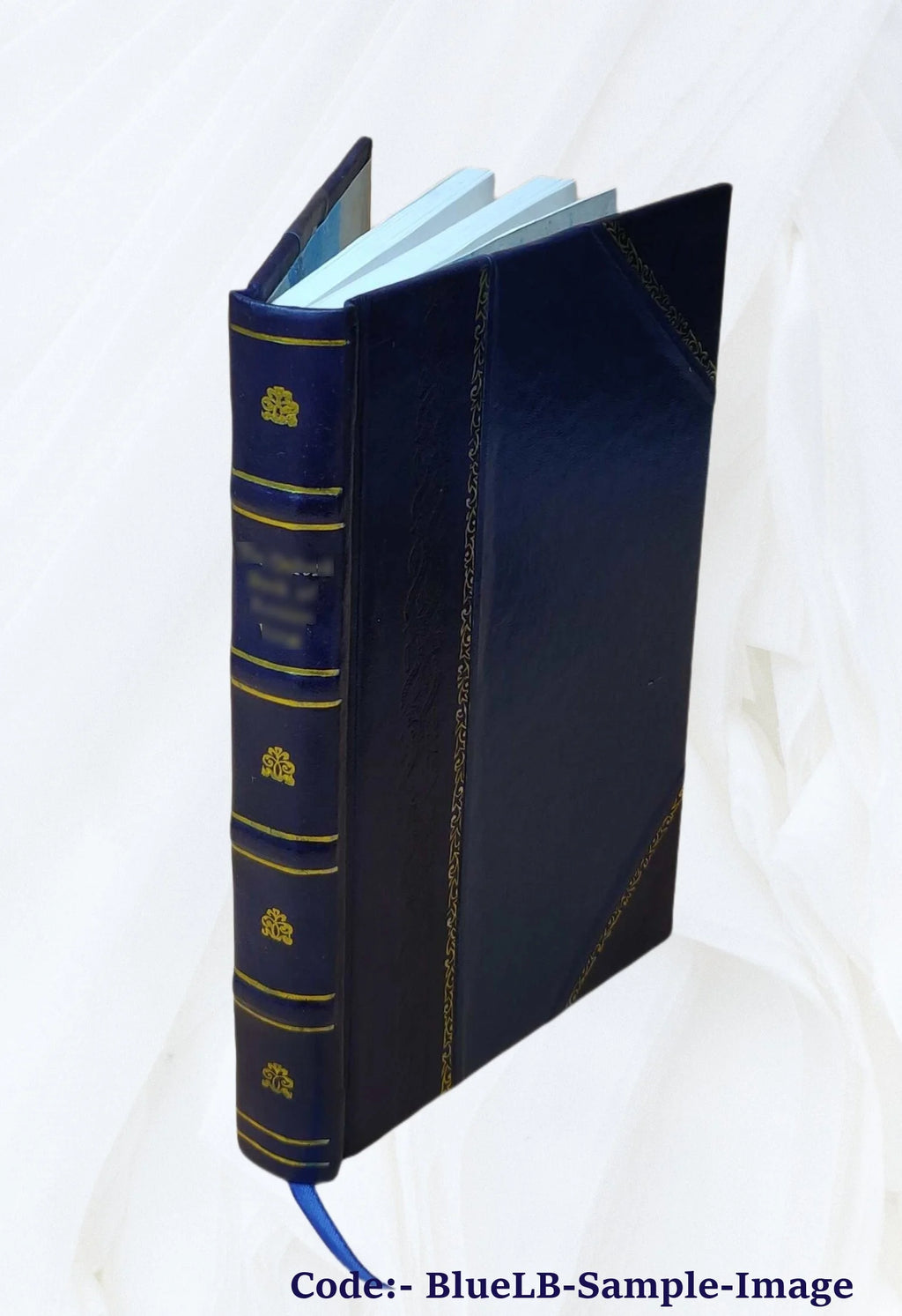 Leather Bound Book A899