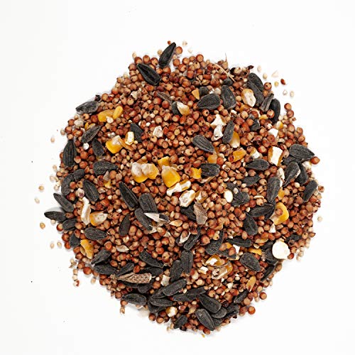5 Pound Safflower Seed Wild Bird Food P381823