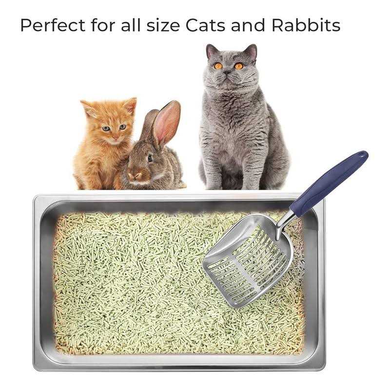 Stainless Steel Cat Litter Box With High Sides Q358