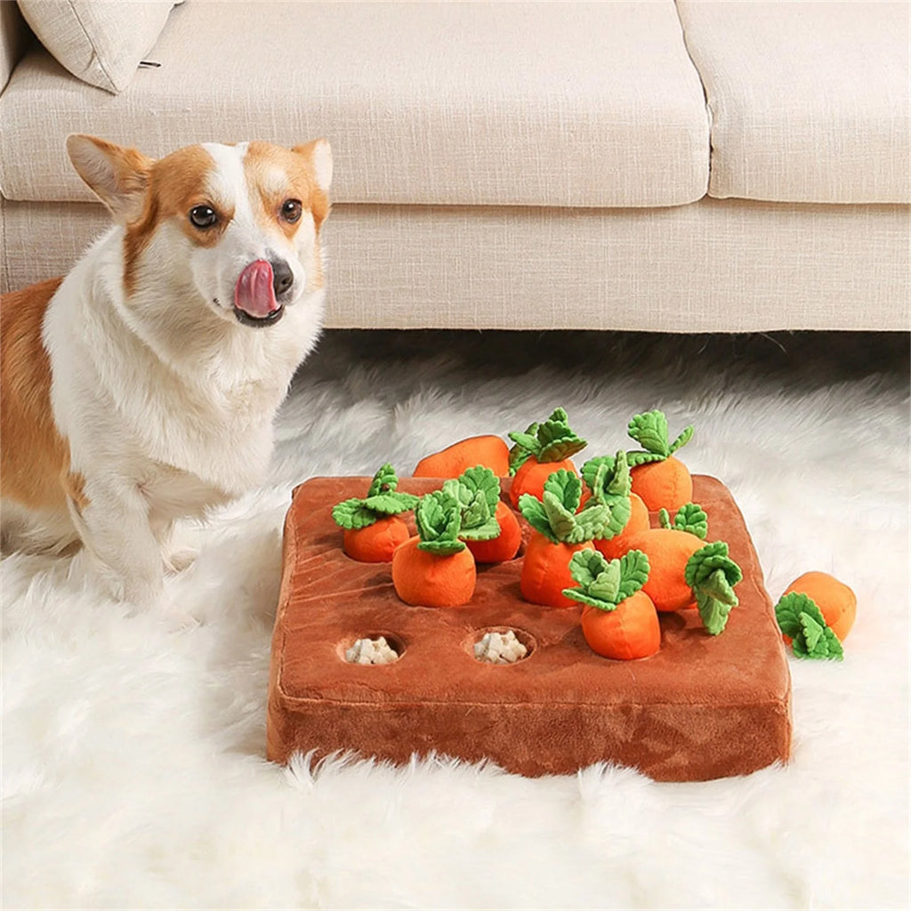 5 Pack Dog Squeaky Toys Plush Fruits Snacks Vegetables Dog Toys Z184