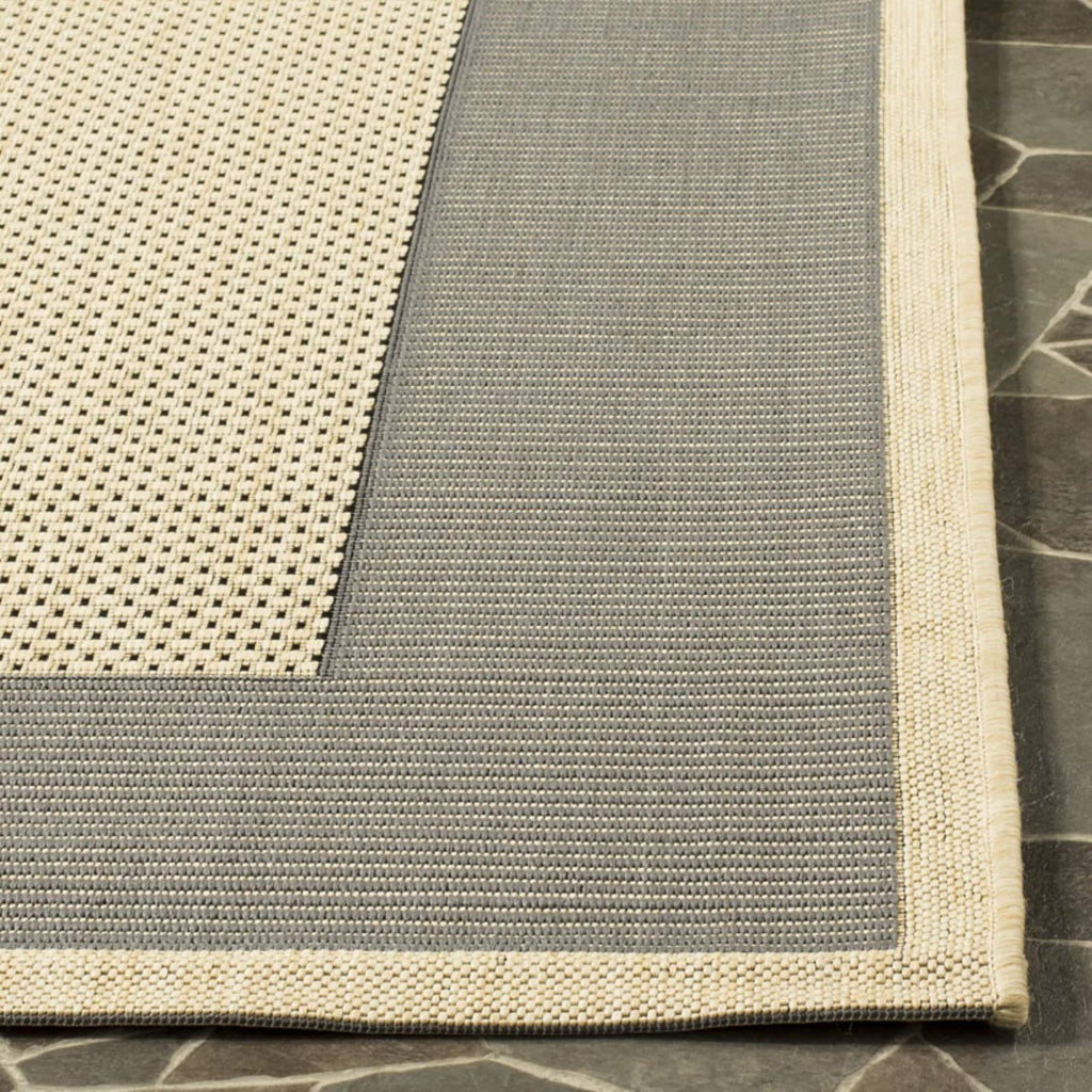 Natural/Gold Striped Border Indoor/Outdoor Area Rug W611