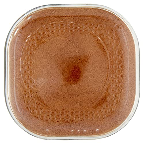 100% Arabica Instant Coffee Jar 100 gm H7569