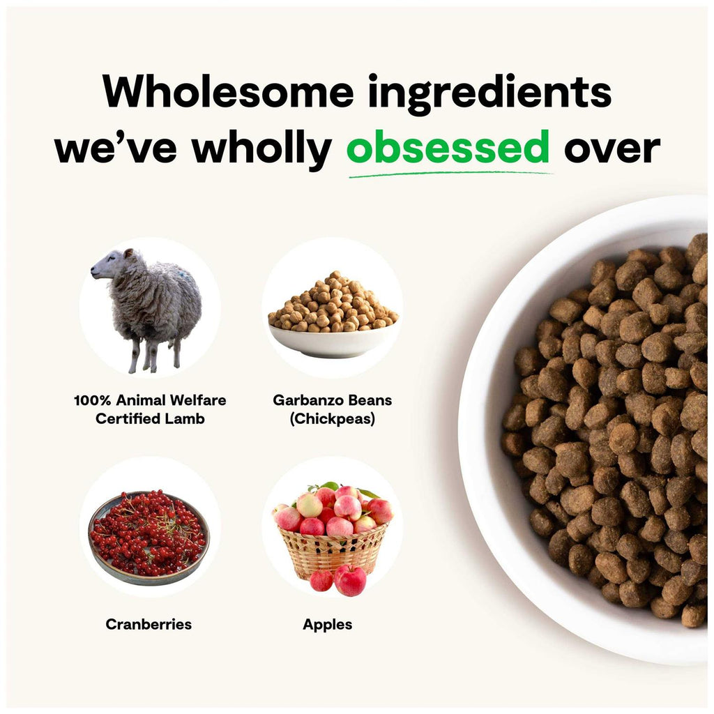 Grain-Free Pasture Raised Lamb Dry Dog Food K341