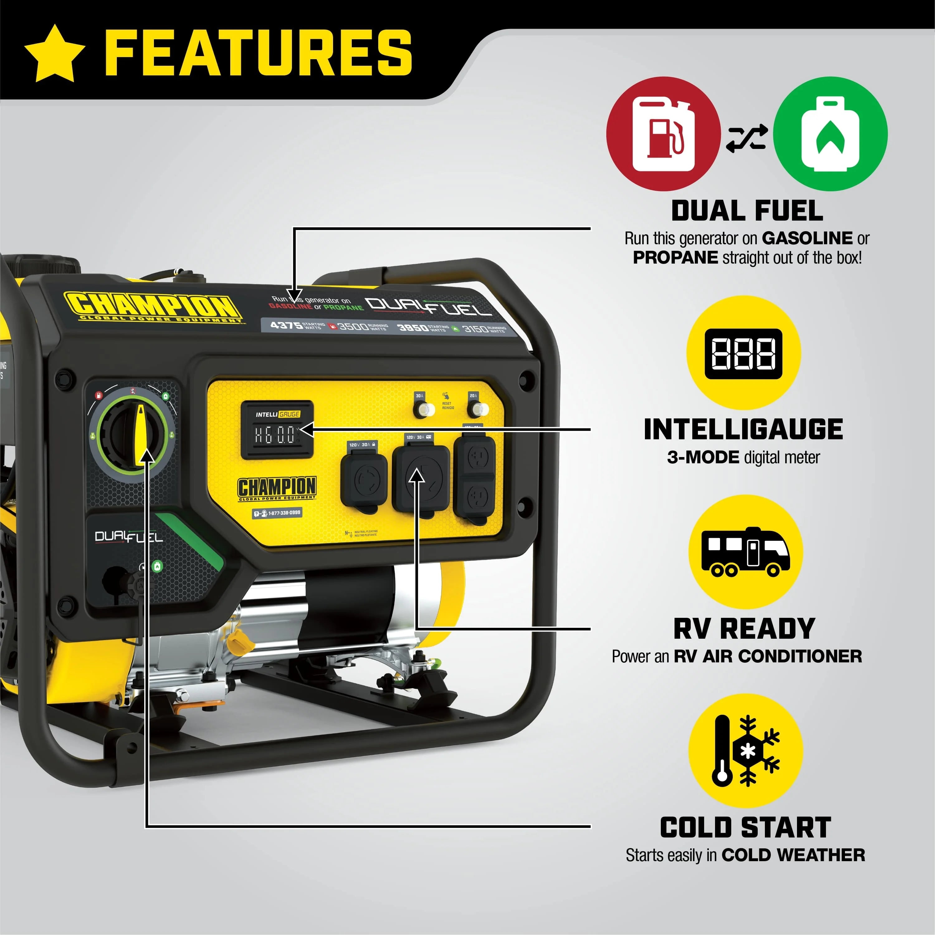 3500 Watt Dual Fuel Portable Generator N680