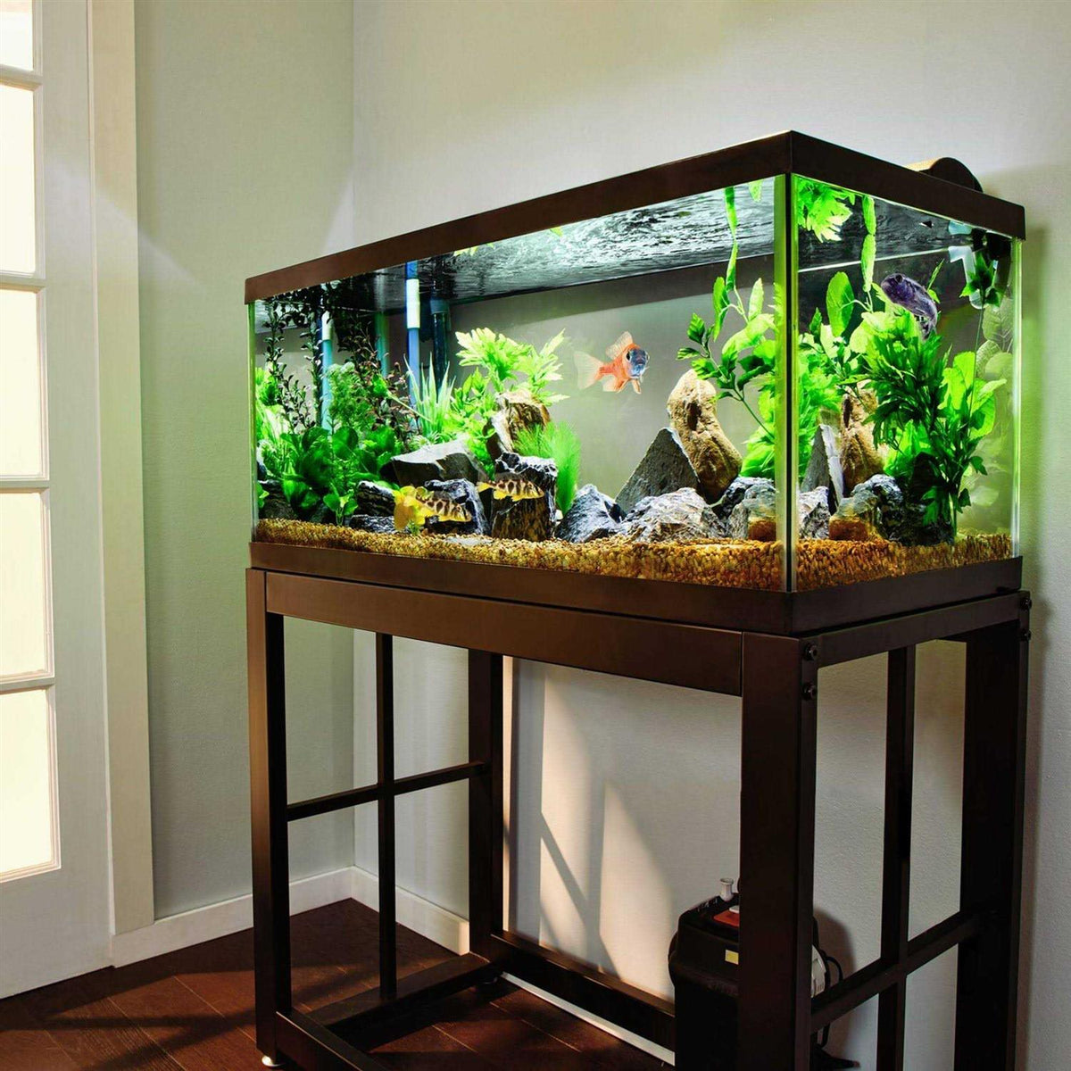 Black Aquarium T901789
