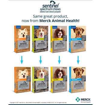 Sentinel Spectrum for Dogs V4976