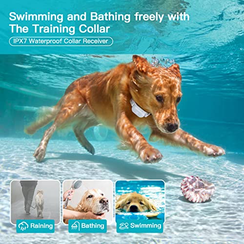 1000ft Waterproof Rechargeable Dog Training Collar with Remote Y412