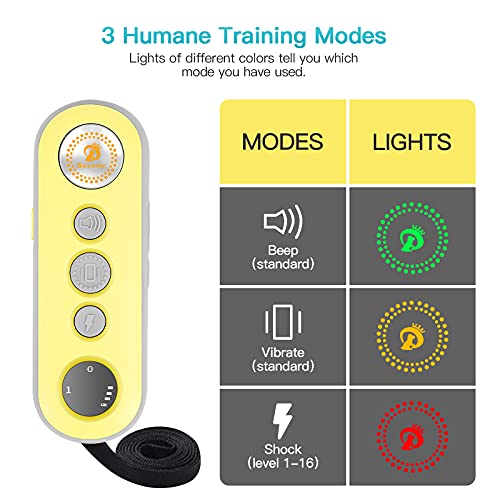 1000ft Waterproof Rechargeable Dog Training Collar with Remote Y412