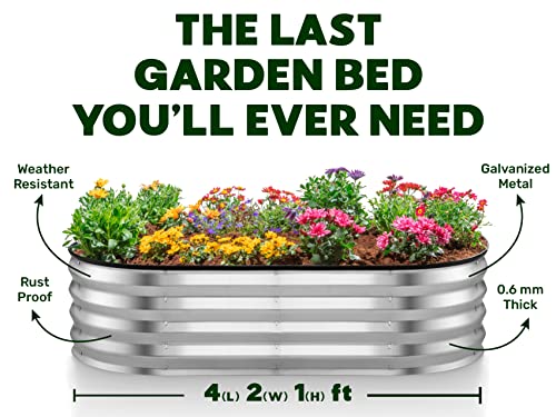 8×4×1 ft 2-Pack Galvanized Metal Raised Garden Bed P404