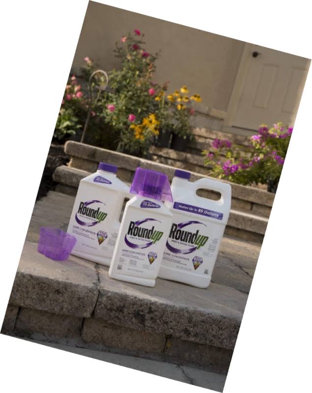 1 Gal Weed and Grass Killer A2105