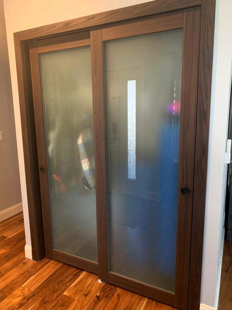 Frosted Glass Door Panel Slab 32 x 84 Solid Wood Core Interior Door U66779