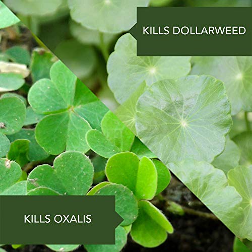 29 oz Weed Control Concentrate Y79907