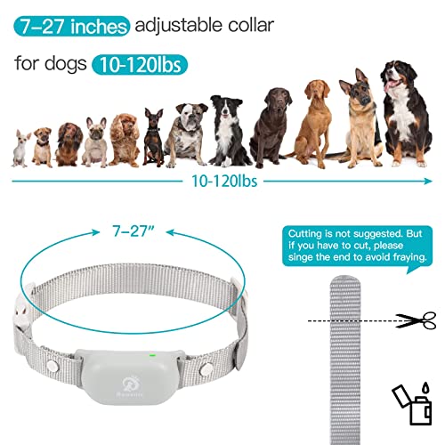 1000ft Waterproof Rechargeable Dog Training Collar with Remote Y412