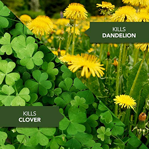 29 oz Weed Control Concentrate Y79907