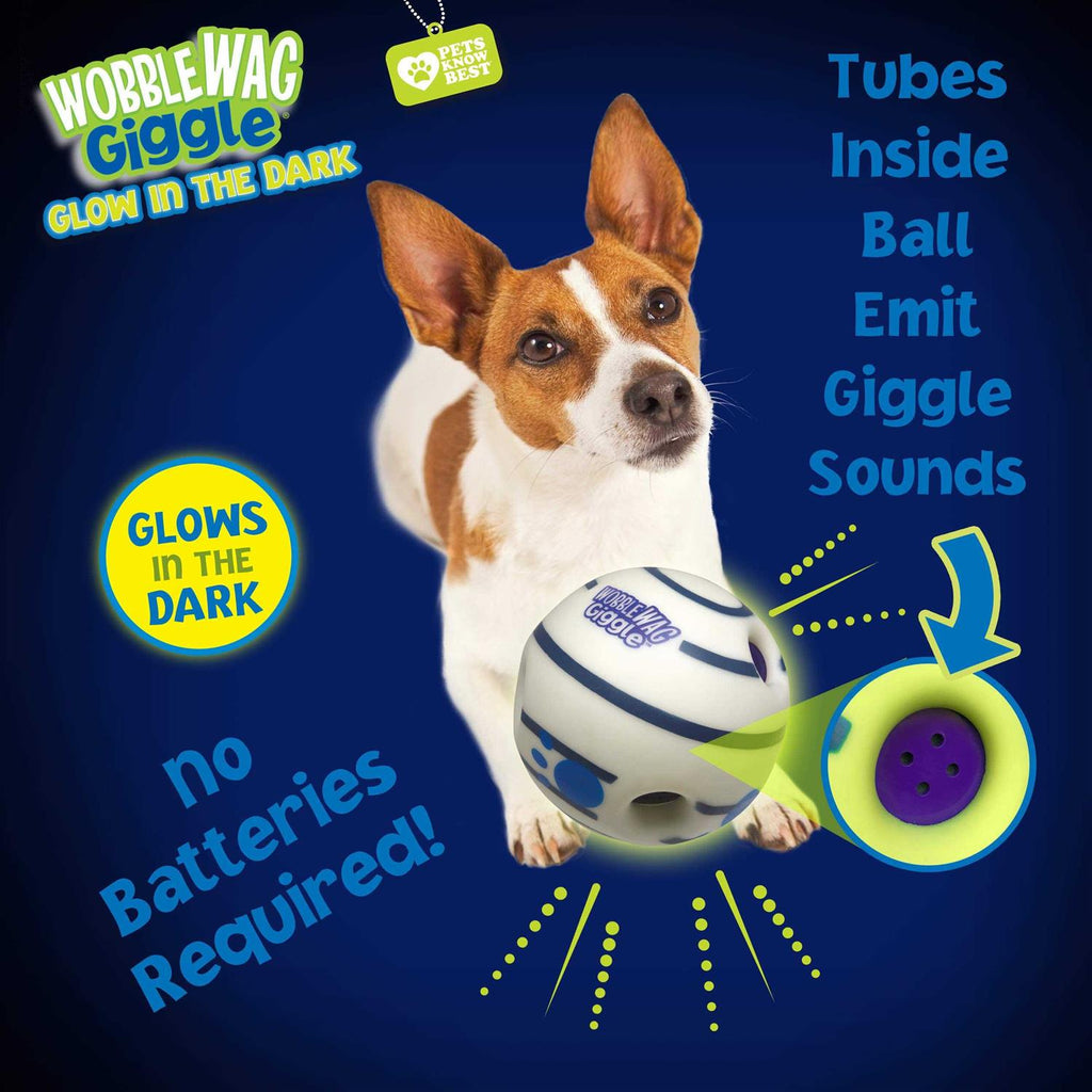 Interactive Dog Toy Q118