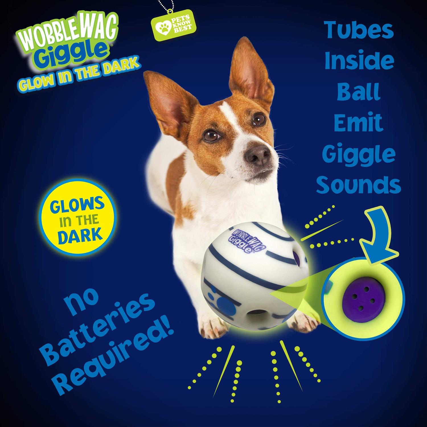 Interactive Dog Toy Q118