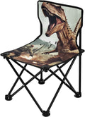 Portable Folding Camping Chair C858444