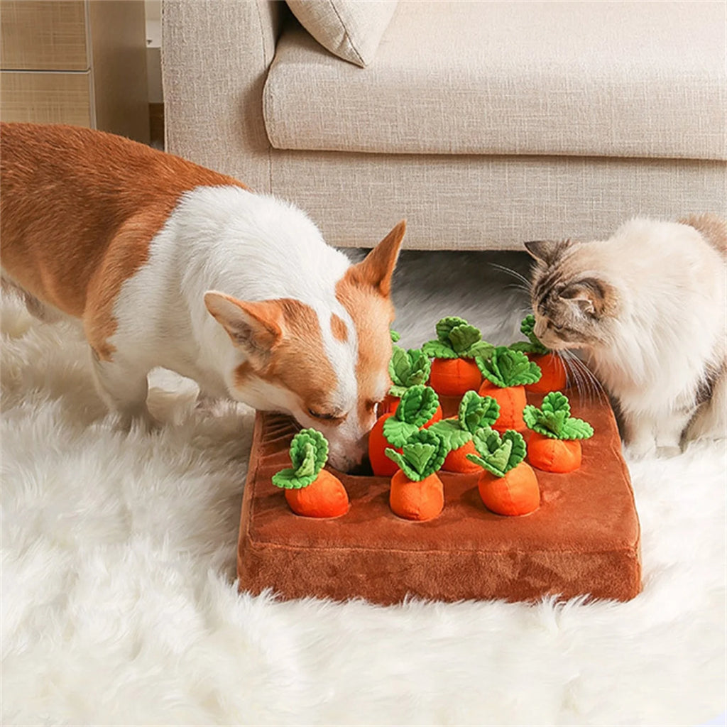 5 Pack Dog Squeaky Toys Plush Fruits Snacks Vegetables Dog Toys Z184