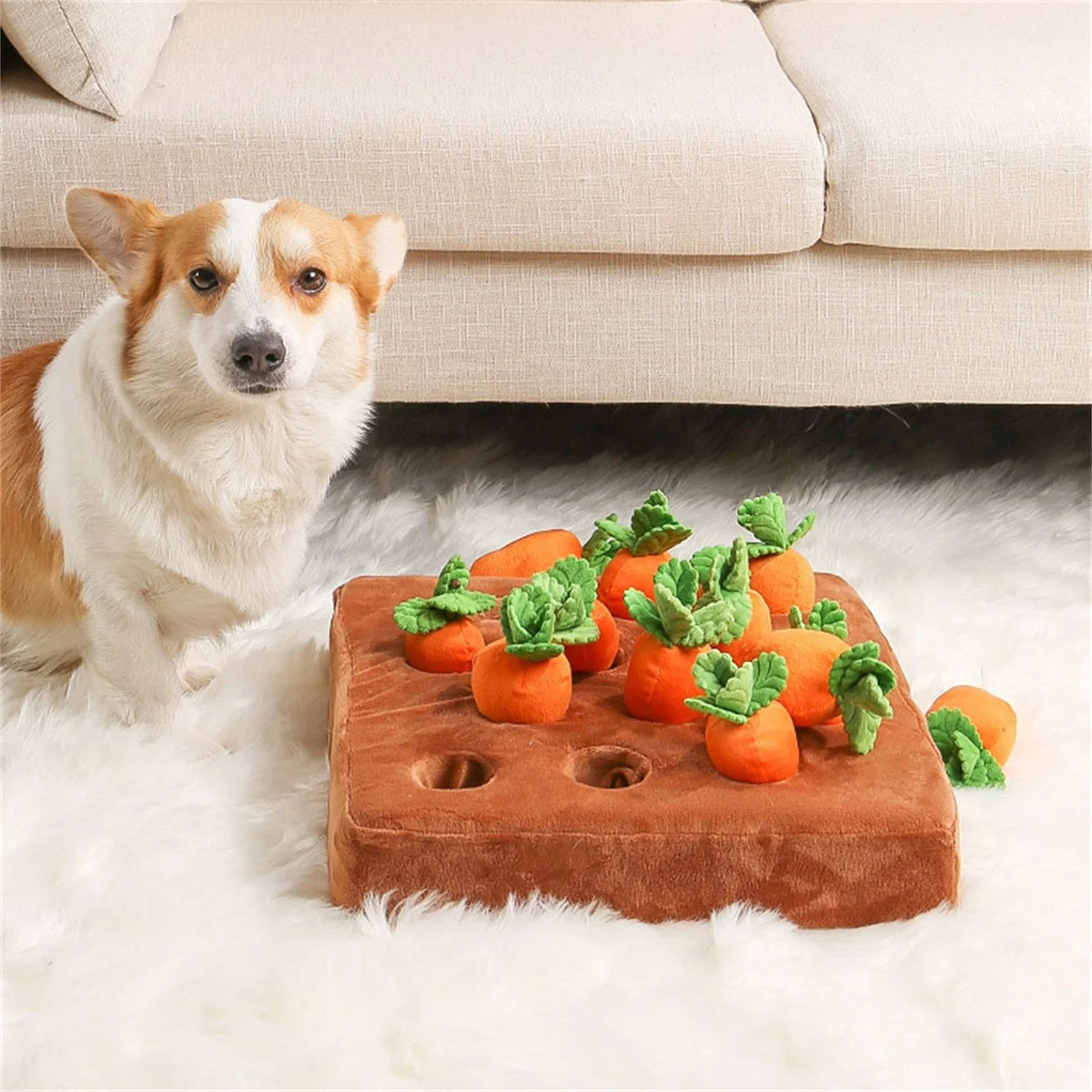 5 Pack Dog Squeaky Toys Plush Fruits Snacks Vegetables Dog Toys Z184