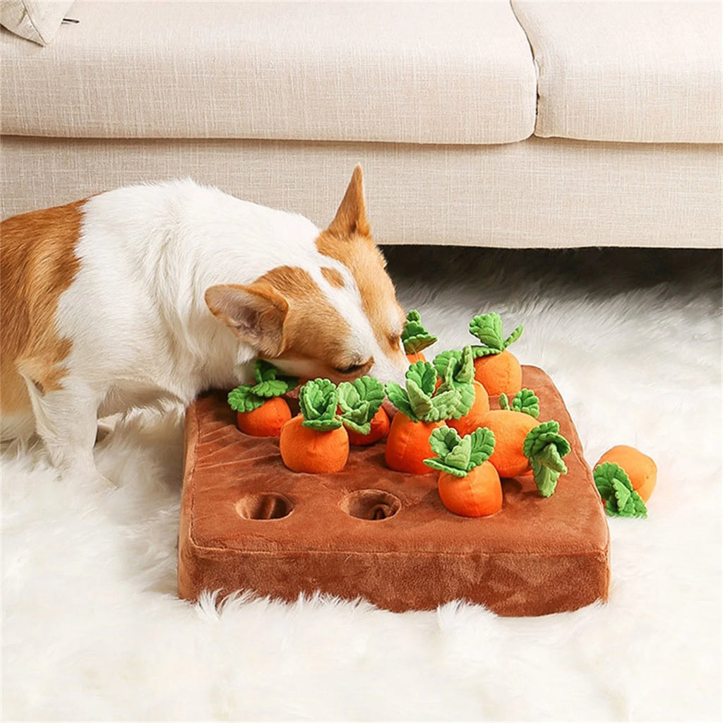 5 Pack Dog Squeaky Toys Plush Fruits Snacks Vegetables Dog Toys Z184
