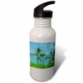21 oz Sports Water Bottle N46646