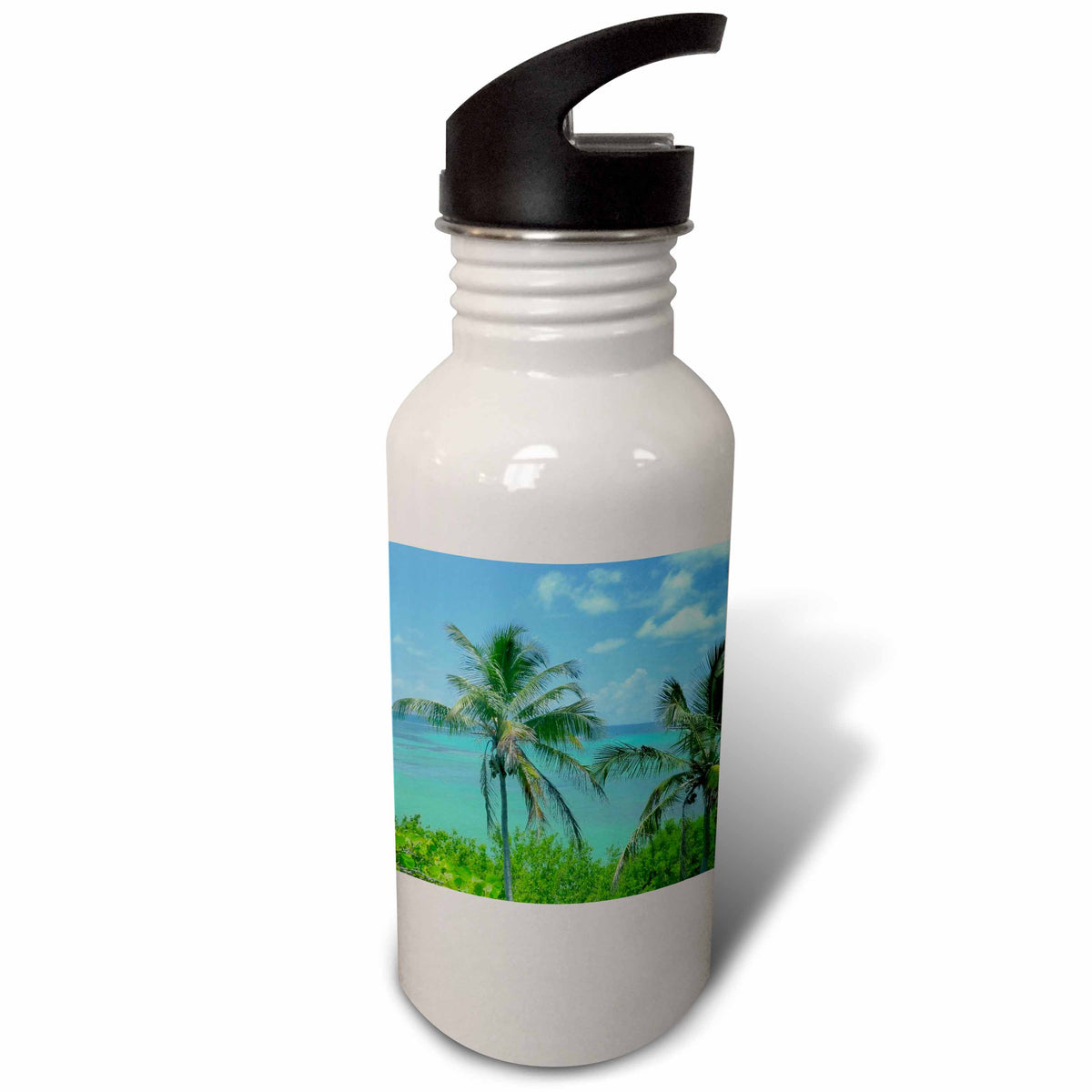 21 oz Sports Water Bottle N46646