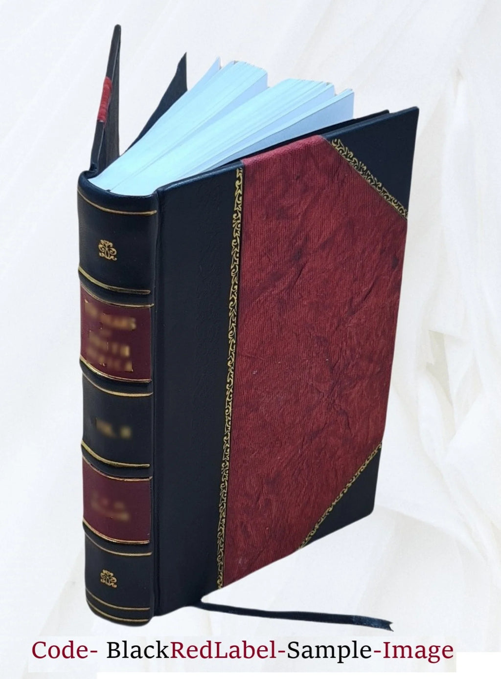 Leather Bound Book X881712